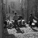 Agrigento 1951 Un Pastore Nelle Vie Del Centro Storico